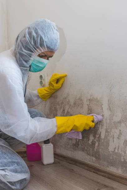 Best Mold-Related Health Consultation  in Simonton Lake, IN
