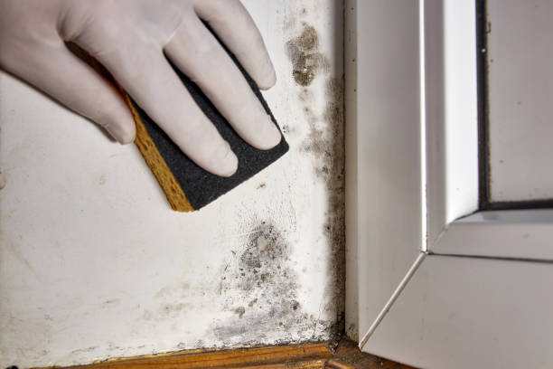 Mold Remediation for Rental Properties in Simonton Lake, IN