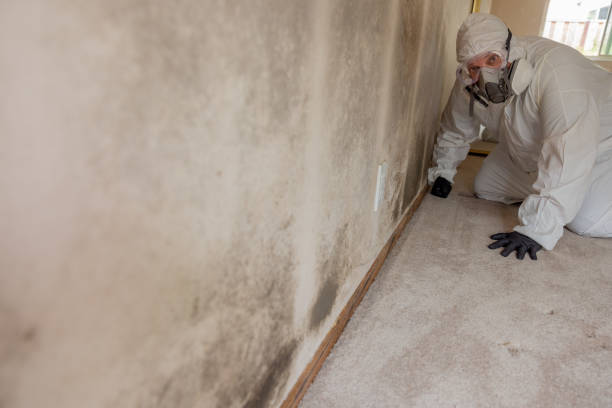 Best Commercial Mold Inspection  in Simonton Lake, IN